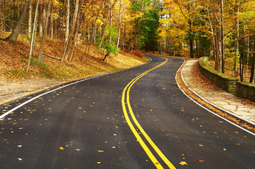 Autumn scene with road in forest