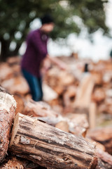 Fototapeta premium Fresh wood.