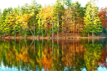 Pond in White Mountain National Forest, New Hampshire
