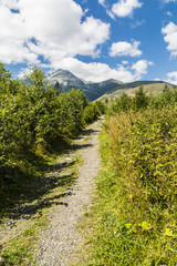 Trail with mountains in the background