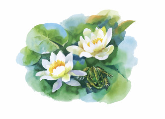 Watercolor white water-lilly flowers pattern with frog on pond