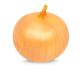 onion isolated on a white background