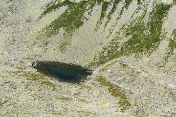 Pond - Rumanowy Staw (Rumanovo pleso) © gubernat