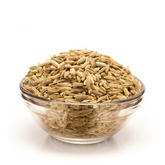 Front view of Organic Fennel seed (Foeniculum Vulgare) in glass bowl isolated on white background.