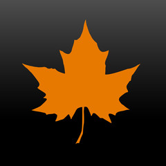 Silhouette of the maple leaf. Canadian symbol. Vector