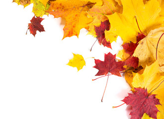 Autumn fall leaves background