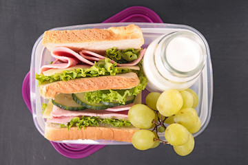 lunch box,sandwich school lunch