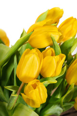 Naklejka premium Yellow tulip flowers