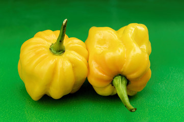 Peperoni, gelbe Habanero (Capsicum chinense)