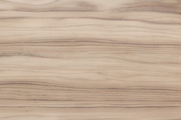 Teak texture