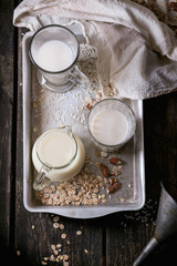 Obraz na płótnie Canvas Set of non-dairy milk