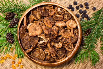 mushrooms with pine branches