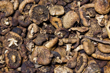 Dried mushrooms, closeup of photo