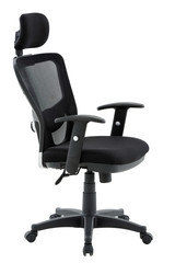 Executive Office Chair on White Background