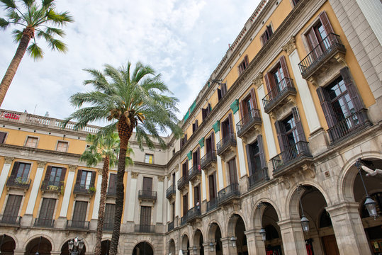 Historical Buildings and Palm Trees In Placa Reial
