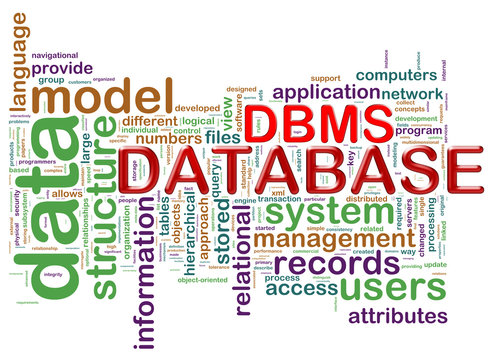 Word tags of dbms