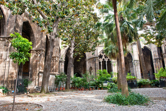 Lush Courtyard Garden at Barcelona Cathedral