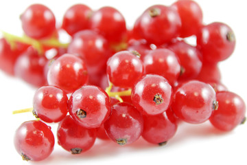 johannisbeeren