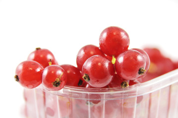 johannisbeeren in der schale