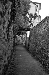 L'Orbe, le chemin des Présidents