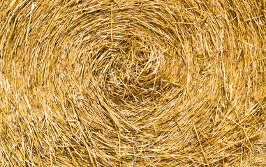 Closeup of a Yellow Round Straw Bale