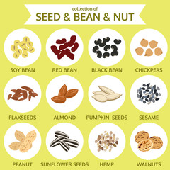 collections of seed & bean & nut, food icon vector illustration