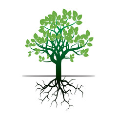 Green Tree and Roots. Vector Illustration.