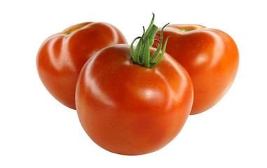 Three tomatoes isolated on white