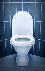 Toilet in the bathroom.