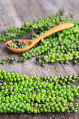 Fresh green pepper seeds