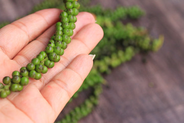 Fresh green pepper seeds