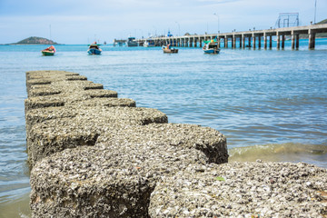 Fototapeta na wymiar seashore sealandscapes barnacle bluesky jetty
