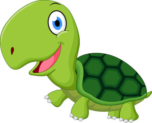 Cute turtle cartoon