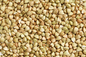 Buckwheat seeds