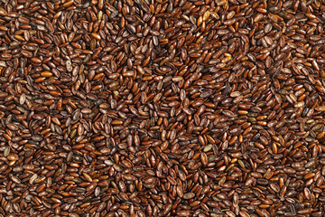 Psyllium seeds