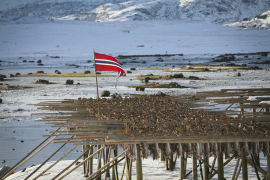 Stockfisch auf den Lofoten, Flagge Norwegen