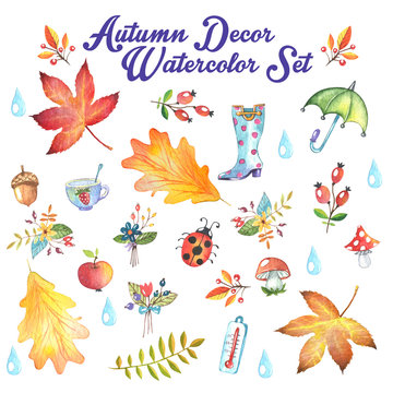 Vector set of autumn nature elements in a watercolor style. Apple, ladybird, berries, acorns, leaves, cup, tea,mushrooms, thermometer painted in watercolor.