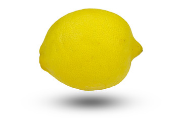 Yellow Lemon  on the white background.