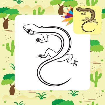 Illustration of little lizard. Coloring page. Vector
