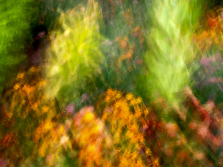 a de-focused motion blur abstract photo of garden flowers