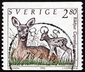 Postage stamp Sweden 1993 European Roe Deer with Fawn