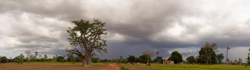 Obraz premium Banfora