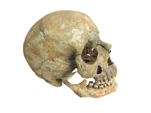 Old archaeological find human skull cranium isolated on white
