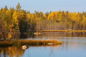Fototapeta na wymiar landscape in the forest lake