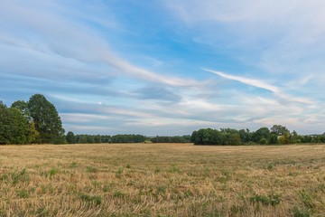 Beautiful after harvest field.