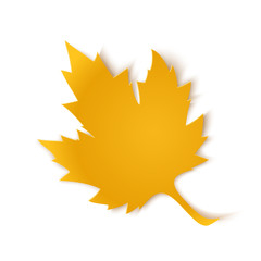 Yellow paper maple leaf.