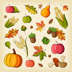 Thanksgiving Harvest icon set