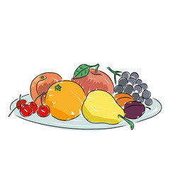A plate of fruit, vector illustration - 91511641