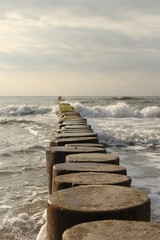 Fototapeta premium Holzpfähle an der Ostsee