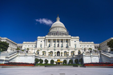 Obraz premium Washington DC, US Capitol Building in August during clear day